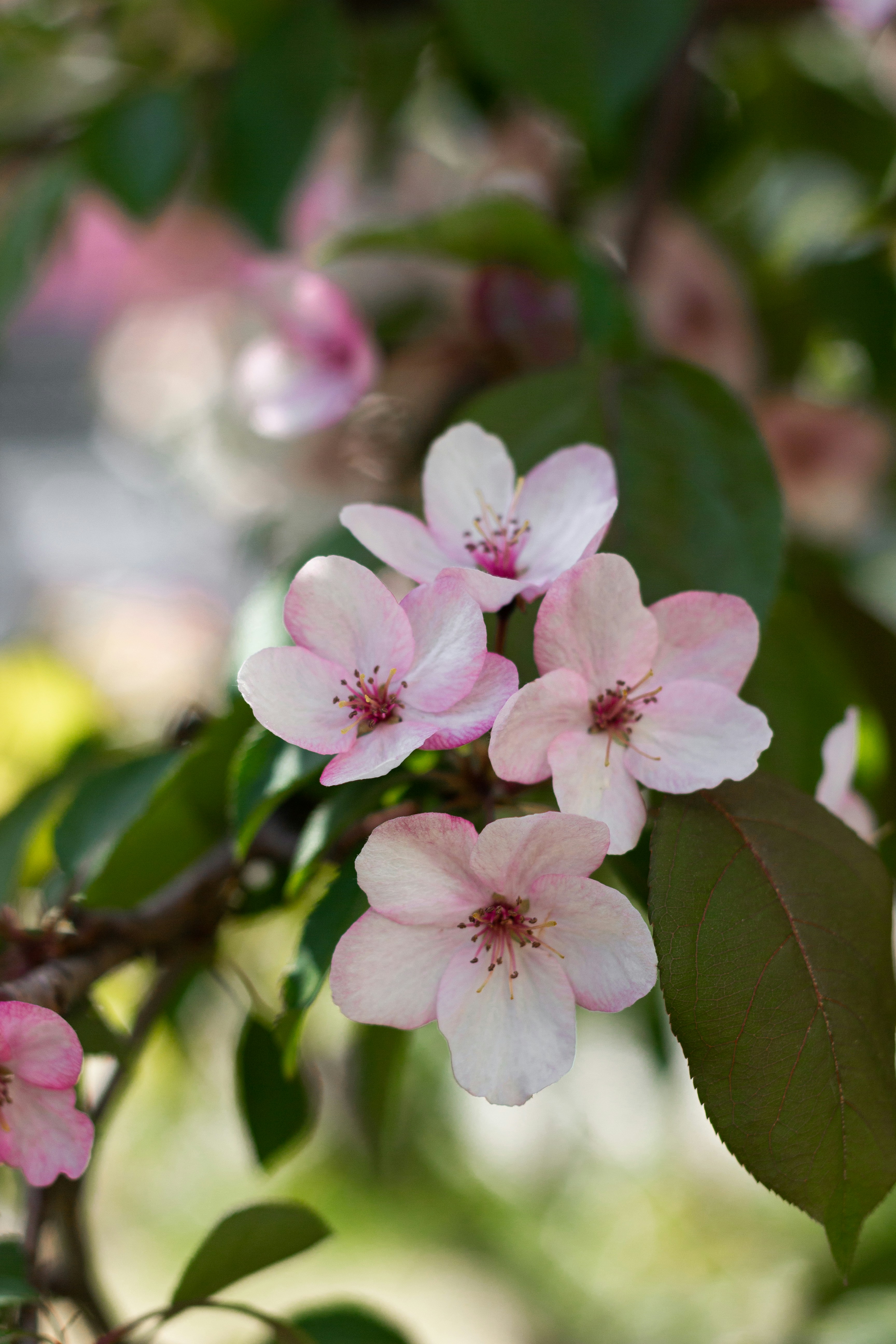 Photo by ekaterinanovak