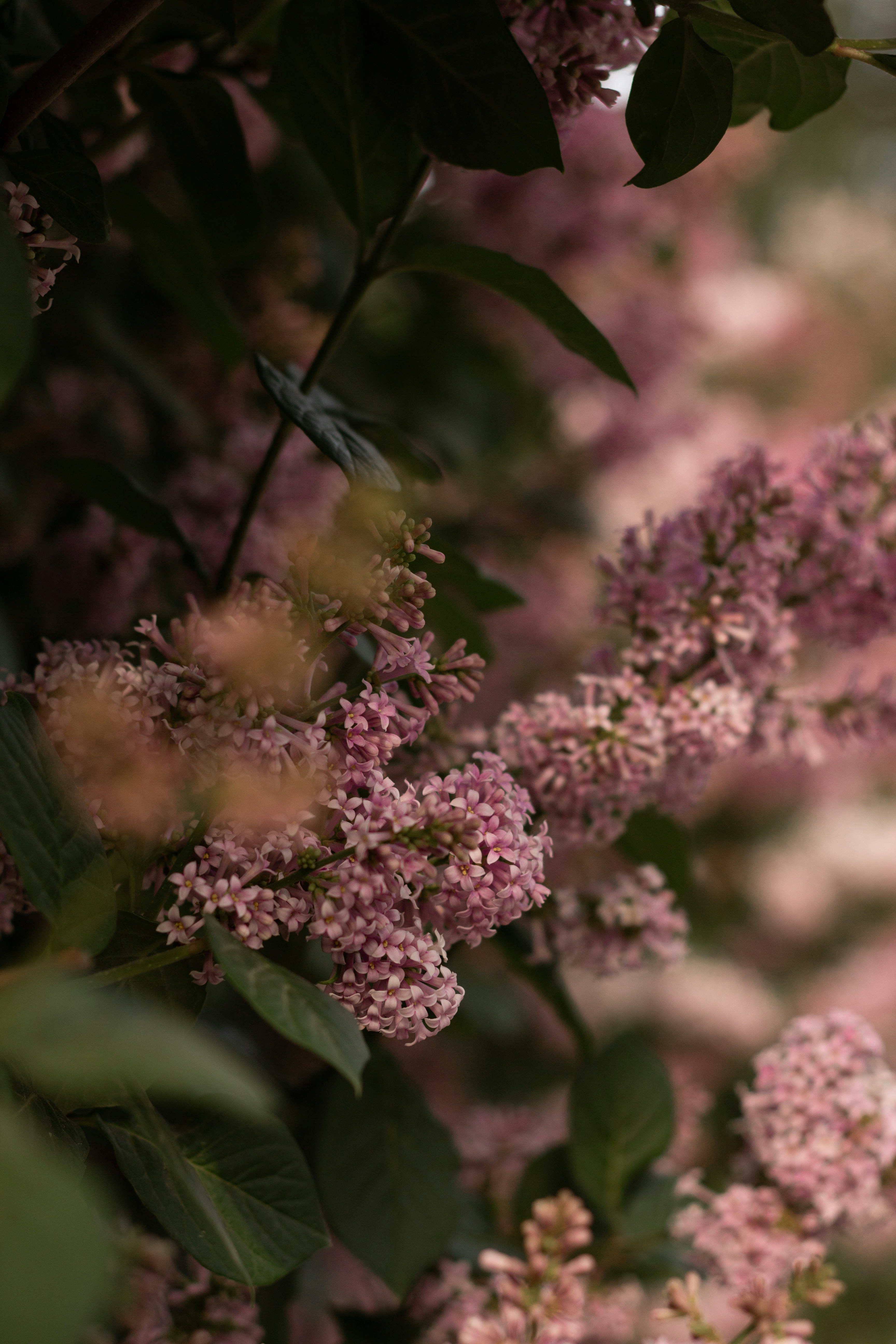 Photo by ekaterinanovak