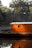 A wooden boat with a circular window is docked near a body of water. The boat's side glows with a golden hue, reflecting the surrounding nature. Lush green trees fill the background, creating a serene and peaceful scene.