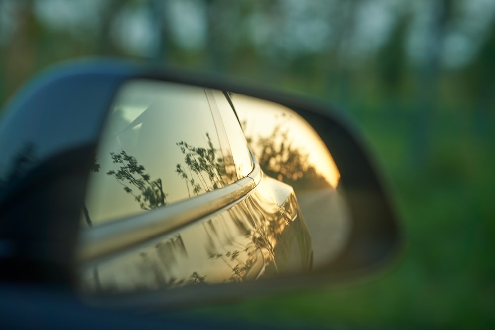 a car's side view mirror reflecting the trees in the rear view mirror