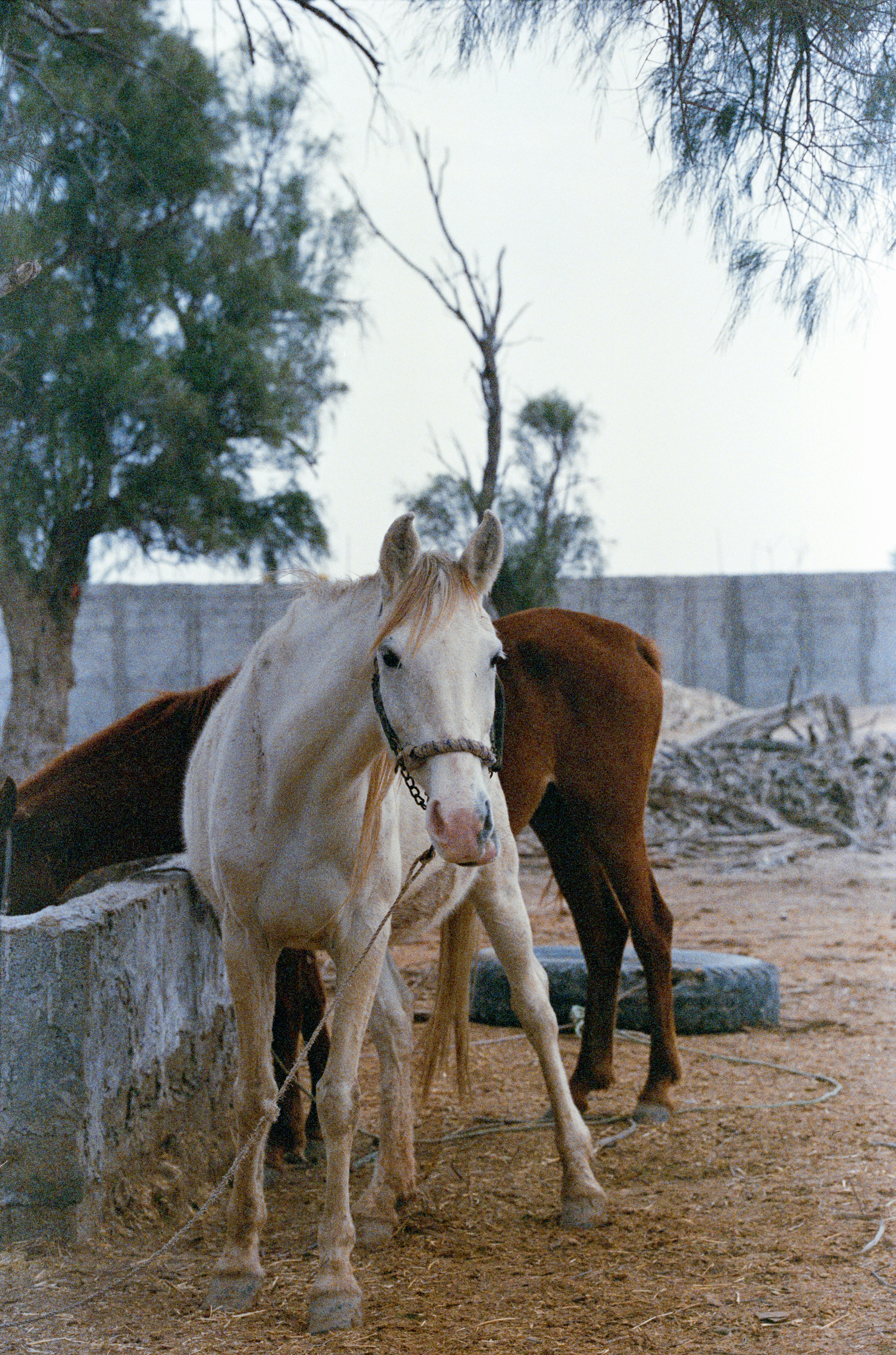 Photo by rohollahsaberi