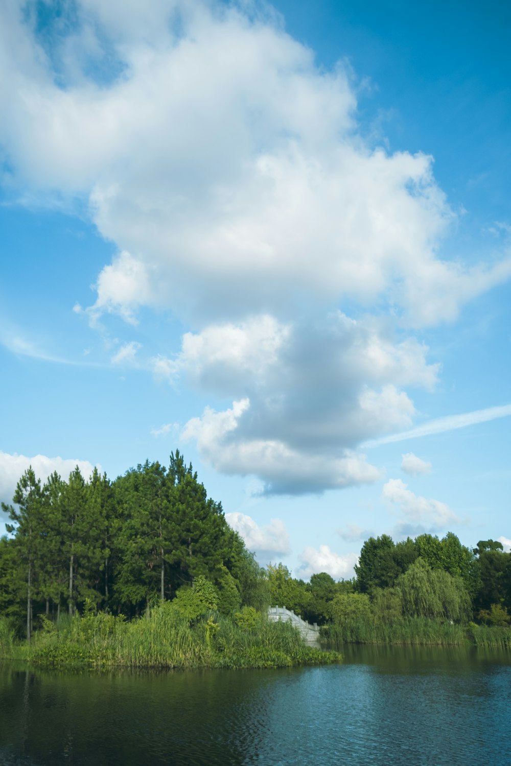 a body of water surrounded by trees and clouds