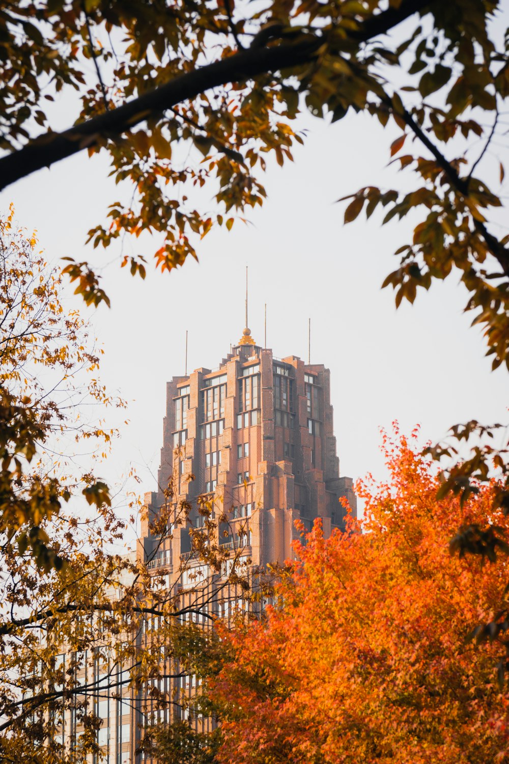 a tall building surrounded by trees in the fall
