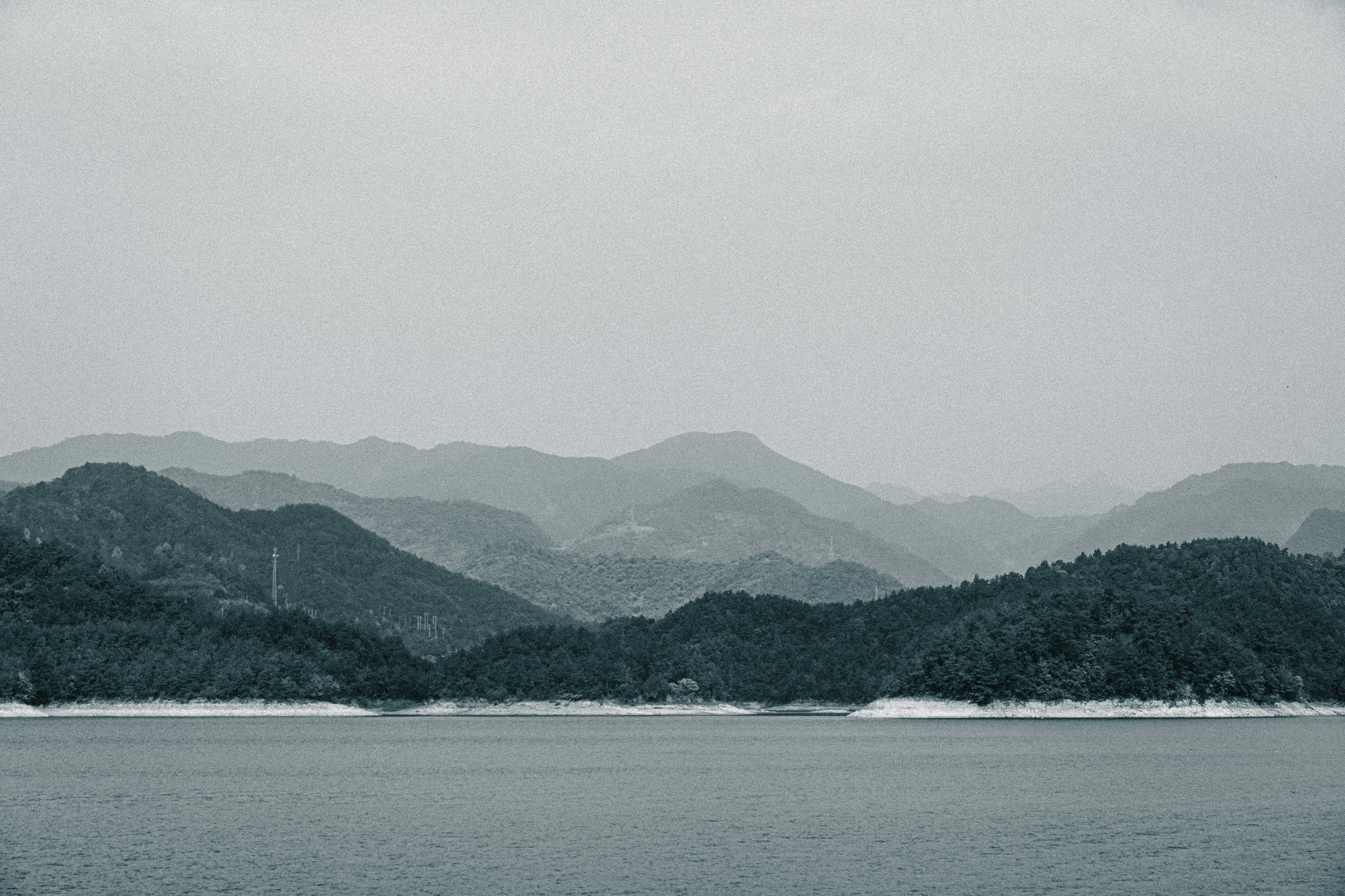 Photo by peterwang1996