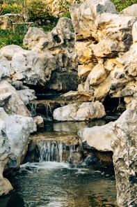a small waterfall running through a lush green forest