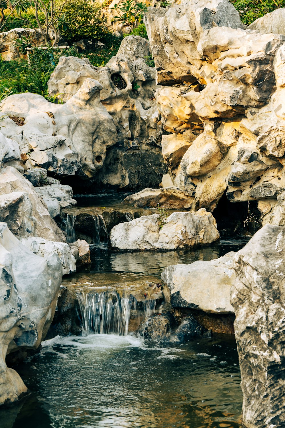 a small waterfall running through a lush green forest