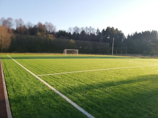 A well-maintained soccer field with vibrant green artificial turf, outlined by white lines. A single goalpost stands at one end of the field. The background features a dense row of trees under a clear blue sky, suggesting a serene natural setting.