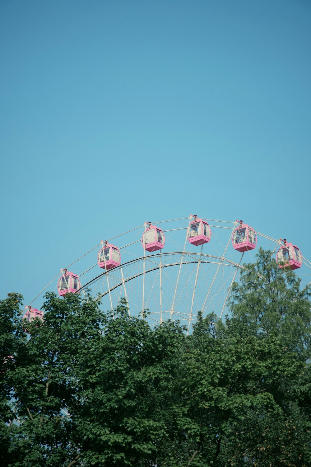 a ferris wheel with pink seats on top of it