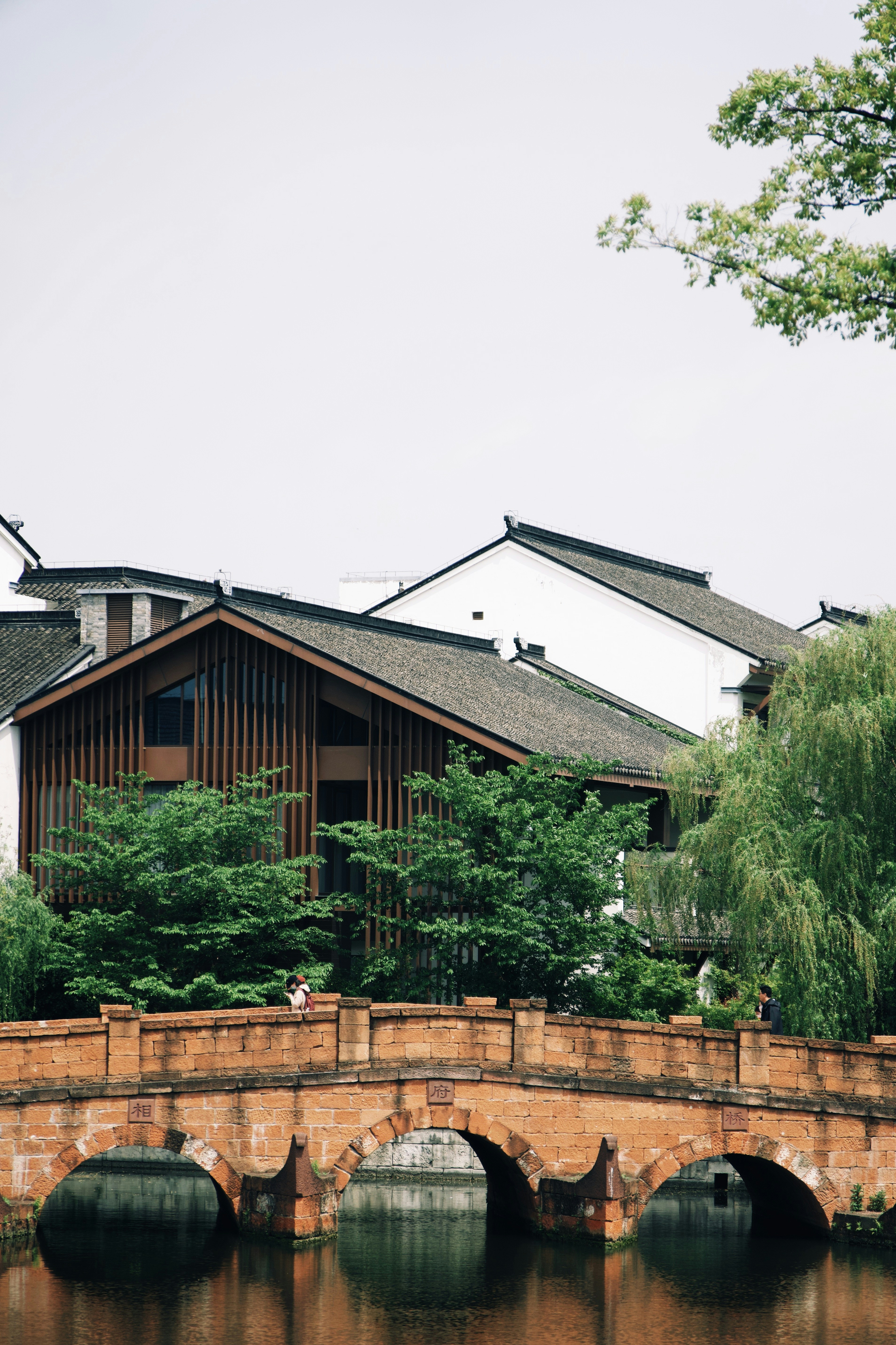 Photo by peterwang1996