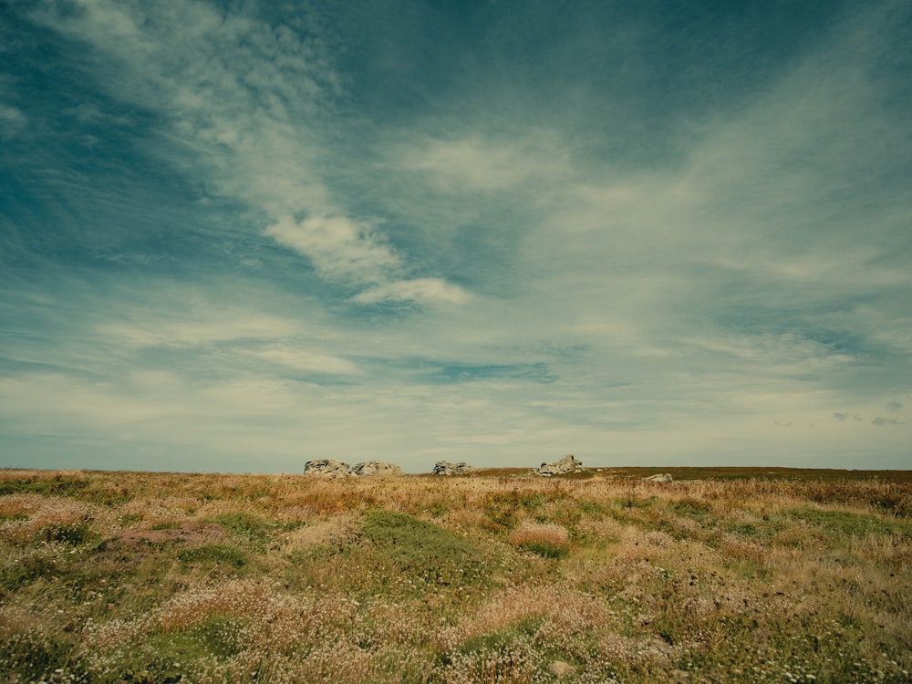 a grassy field with a few rocks in the distance