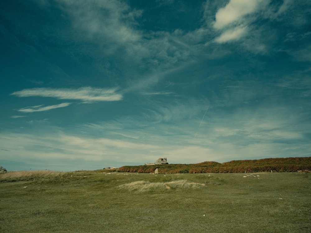 a grassy field with a house on top of it