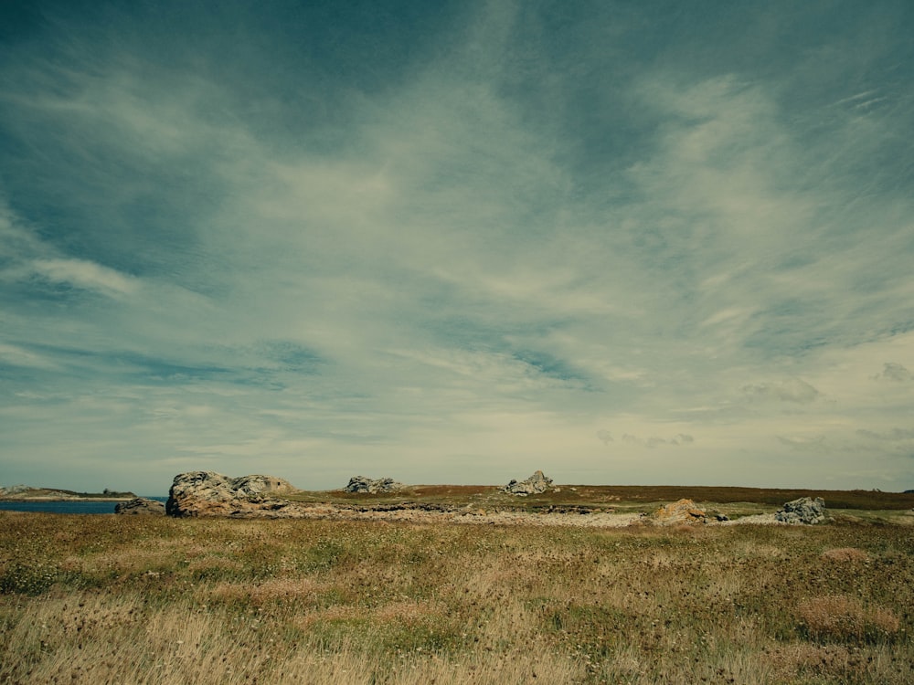 a field with rocks and grass under a cloudy sky