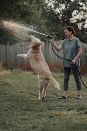 A friendly technician in branded uniform sanitizing a residential yard with a dog happily playing nearby under bright Florida sunlight.