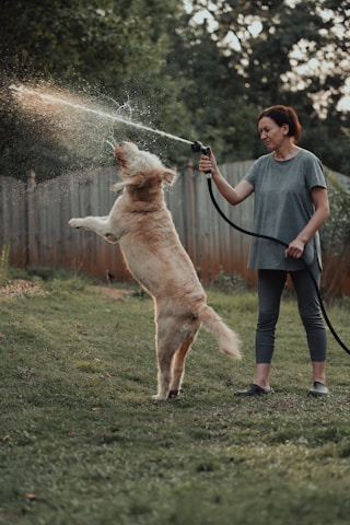 A friendly technician in branded uniform sanitizing a residential yard with a dog happily playing nearby under bright Florida sunlight.