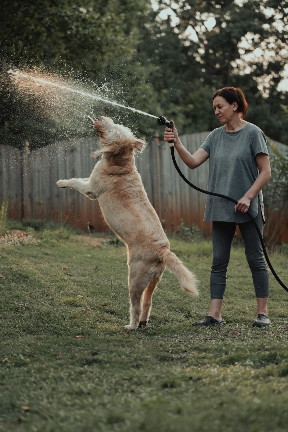 Una mujer está rociando a un perro con una manguera