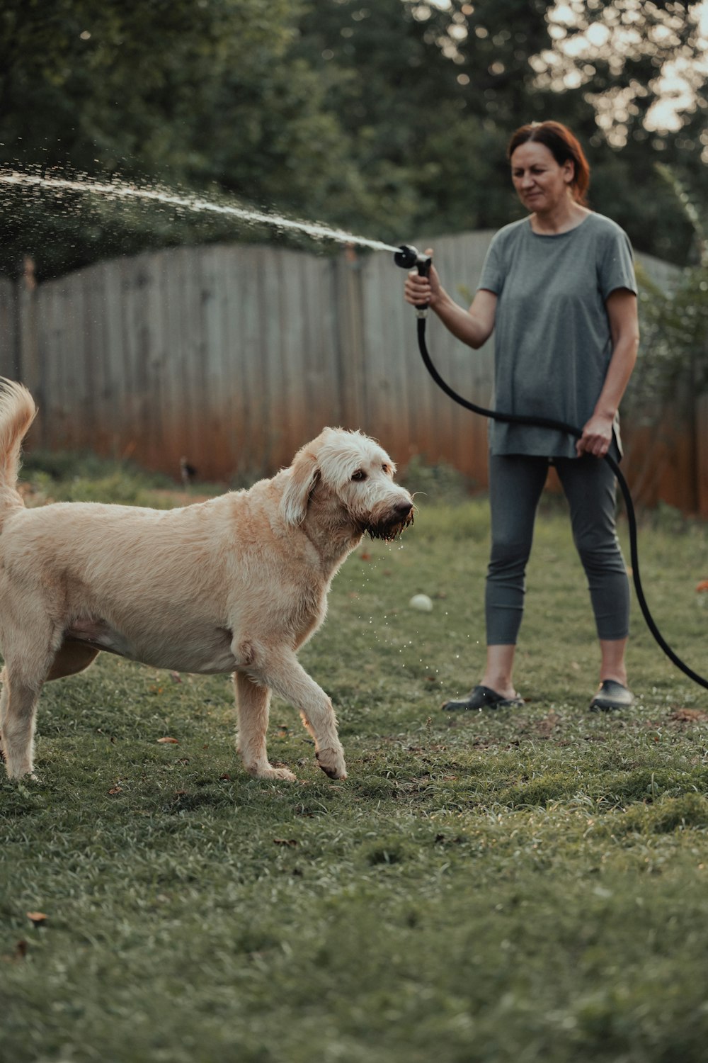 a woman is spraying a dog with a hose