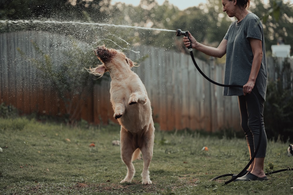 uma mulher está pulverizando um cão com uma mangueira