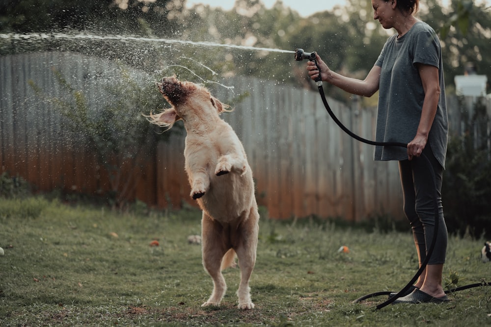 a woman is spraying a dog with a hose