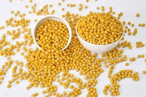 Organic Chickpeas