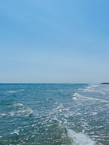 A serene ocean view at dawn with gentle waves and a few birds flying overhead.