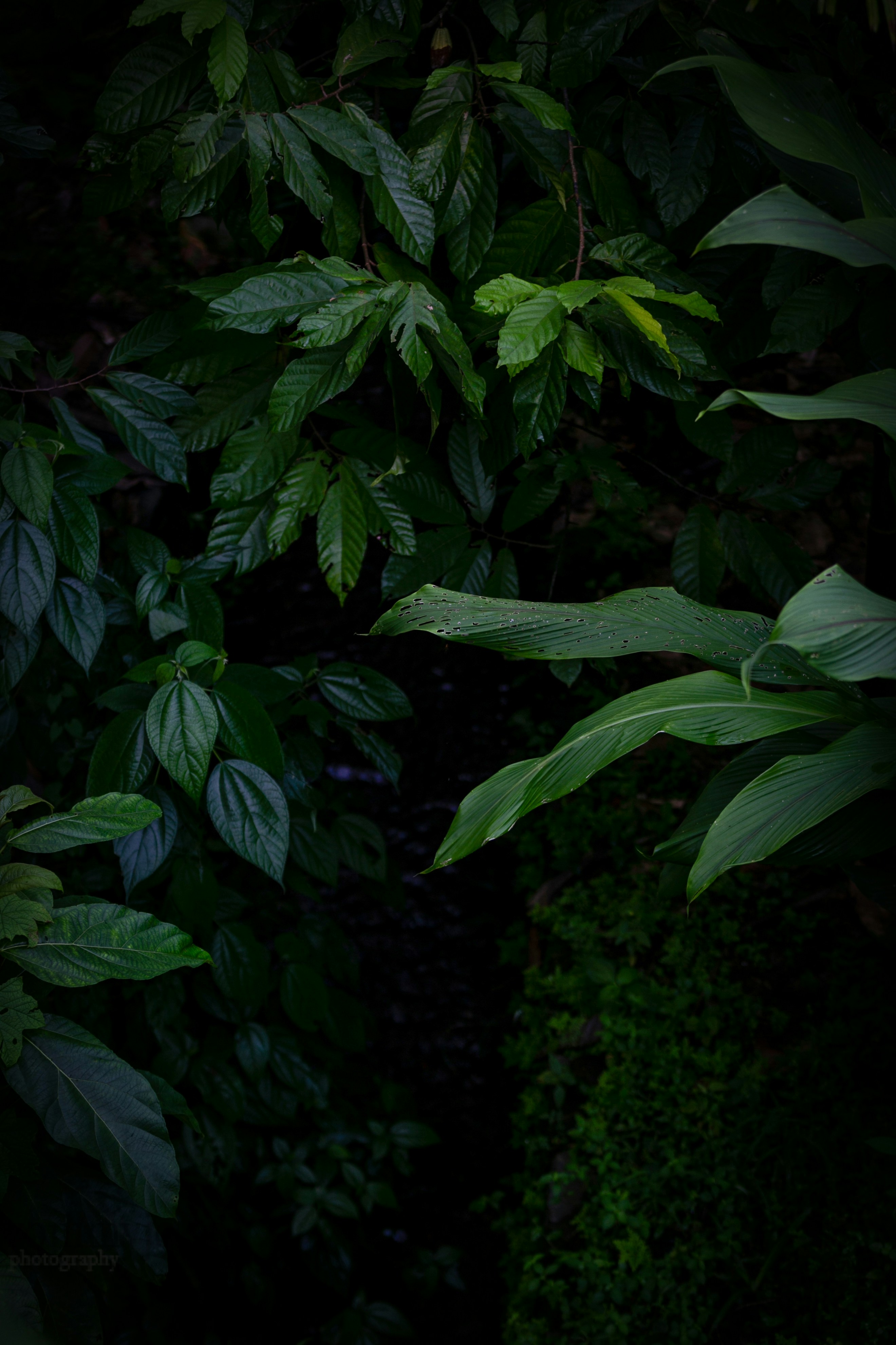 Photo by pixelsandgrid