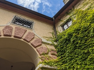 An architectural scene featuring a building corner with ivy-covered walls. The structure displays textured stonework near arched windows, and the sky is partly cloudy.