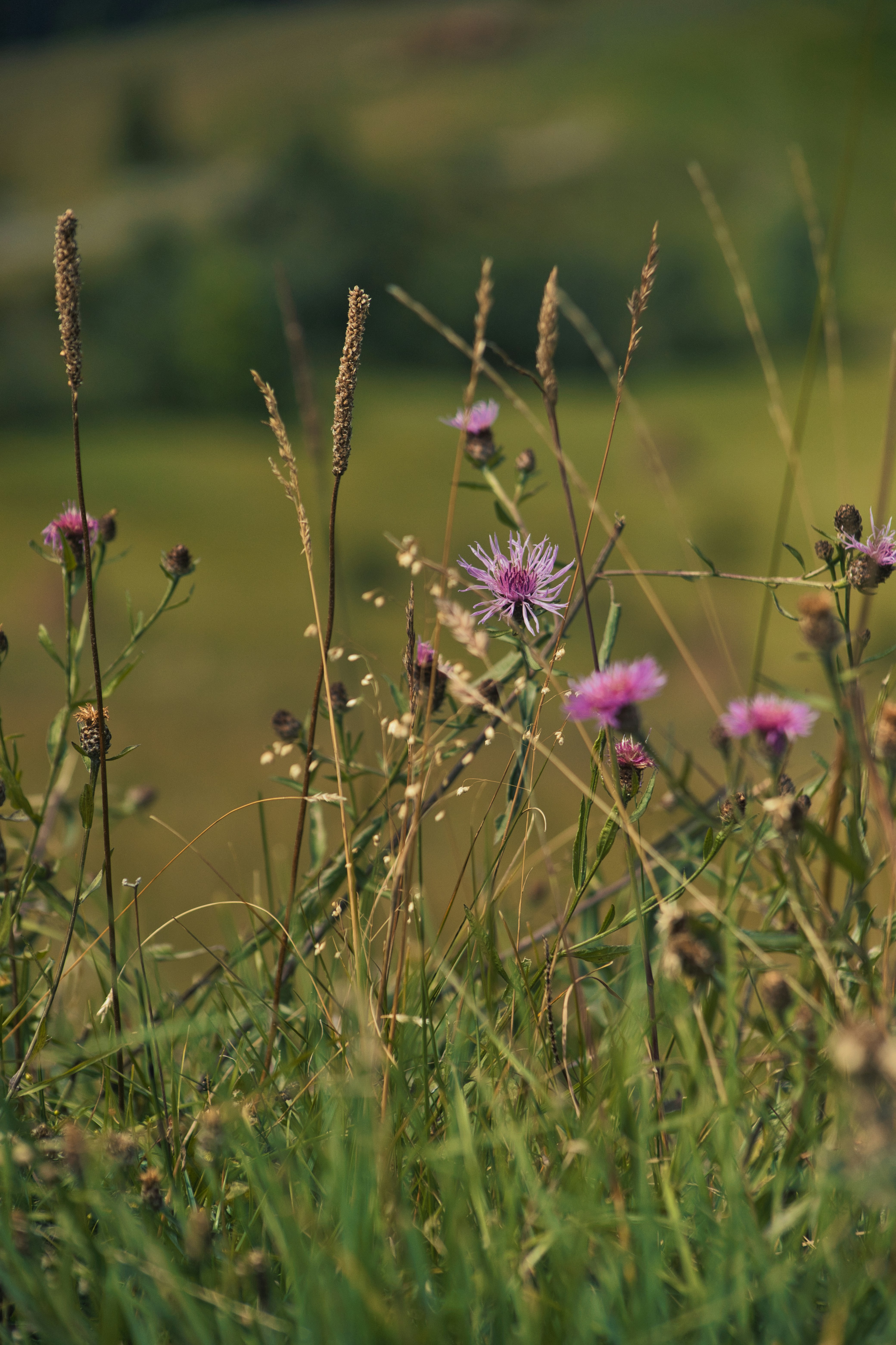 Photo by astronaud23