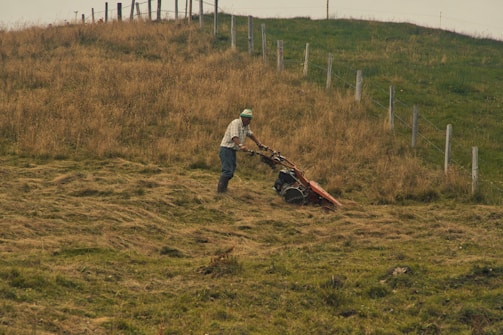 a man standing on top of a lush green hillside