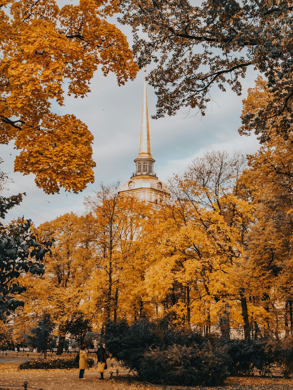 a church steeple surrounded by trees with yellow leaves