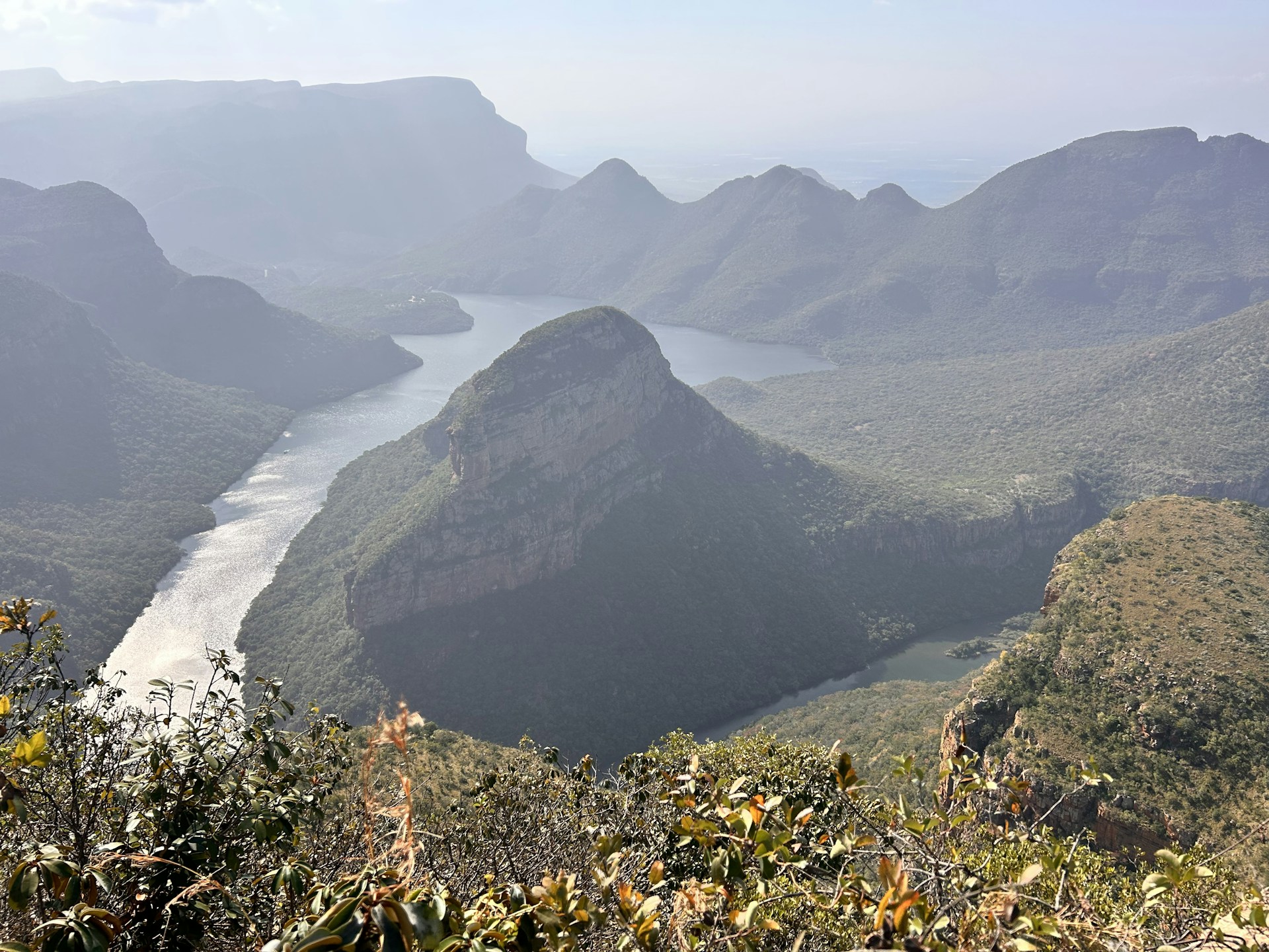 A breathtaking view of the Amazon rainforest with lush greenery and a winding river at sunrise.