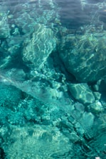 Abstract 3D visualization of crystal-clear water flowing through geological strata.