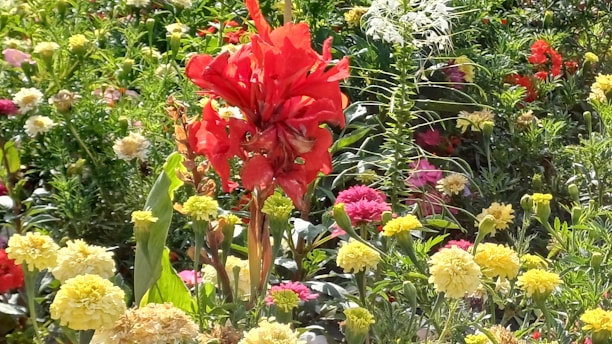 A bright, sunlit garden bursting with colorful seasonal flowers ready for picking.