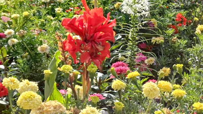 A vibrant floral yard banner fluttering gently in a sunny garden filled with blooming flowers.