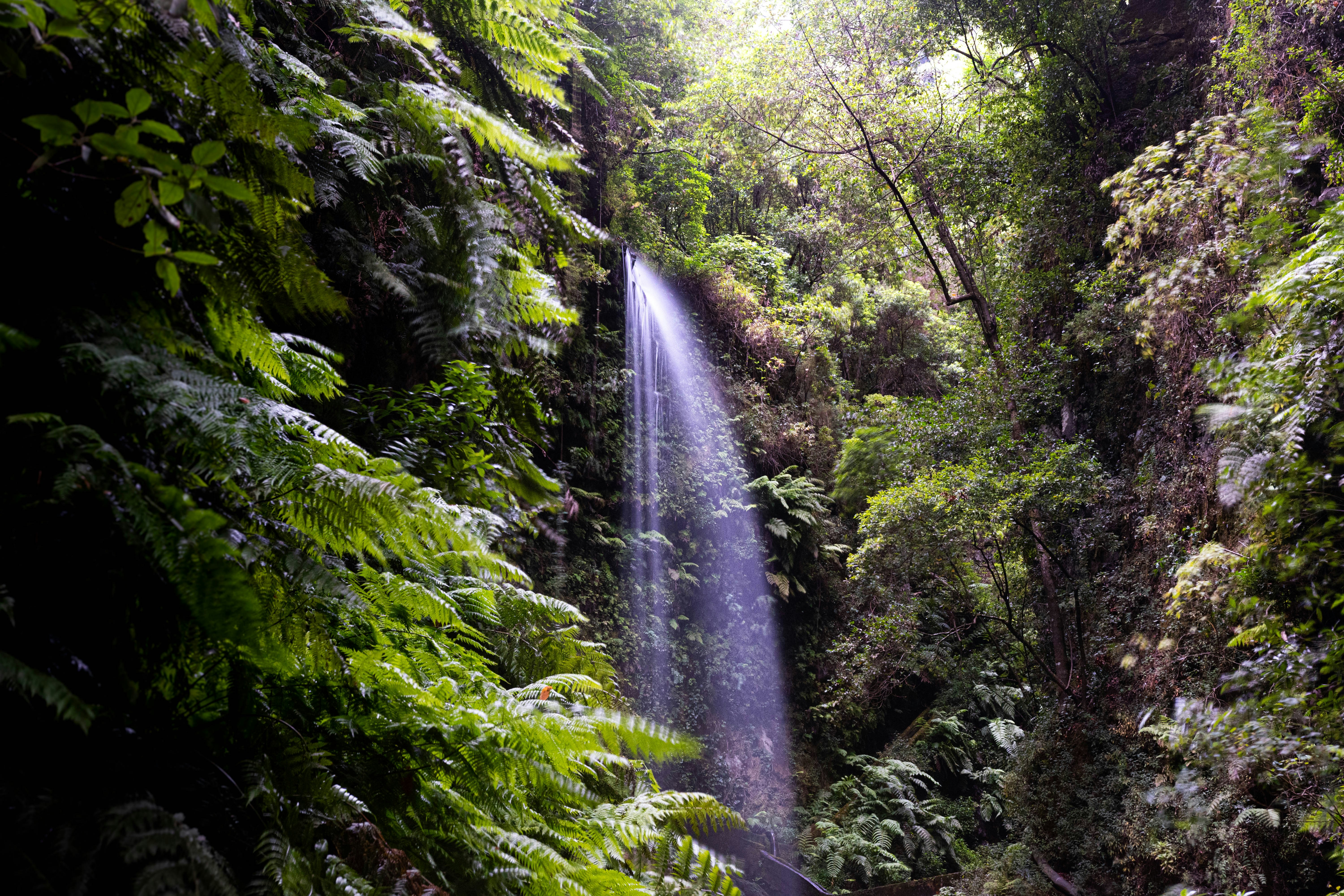 Photo by ptrlt_photo