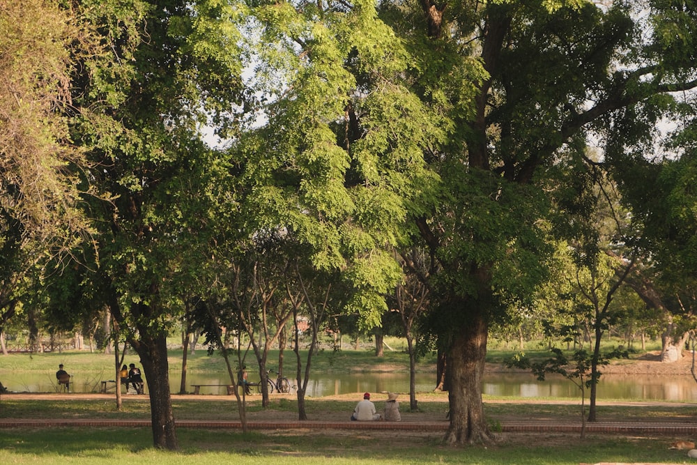 a group of people sitting on top of a lush green park