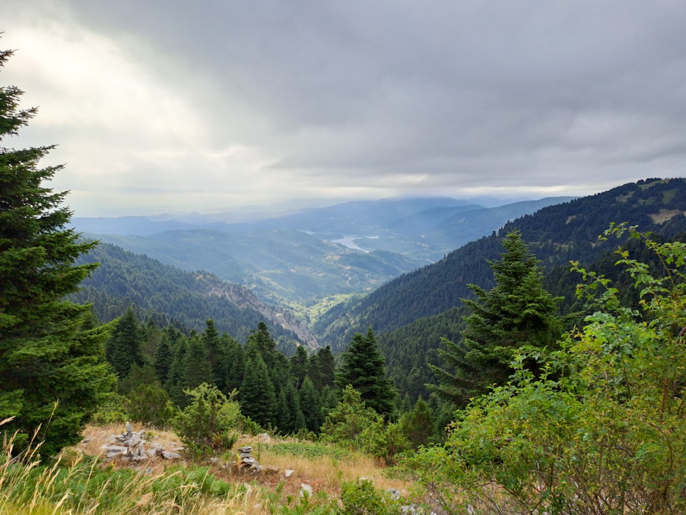 a view of the mountains from the top of a hill