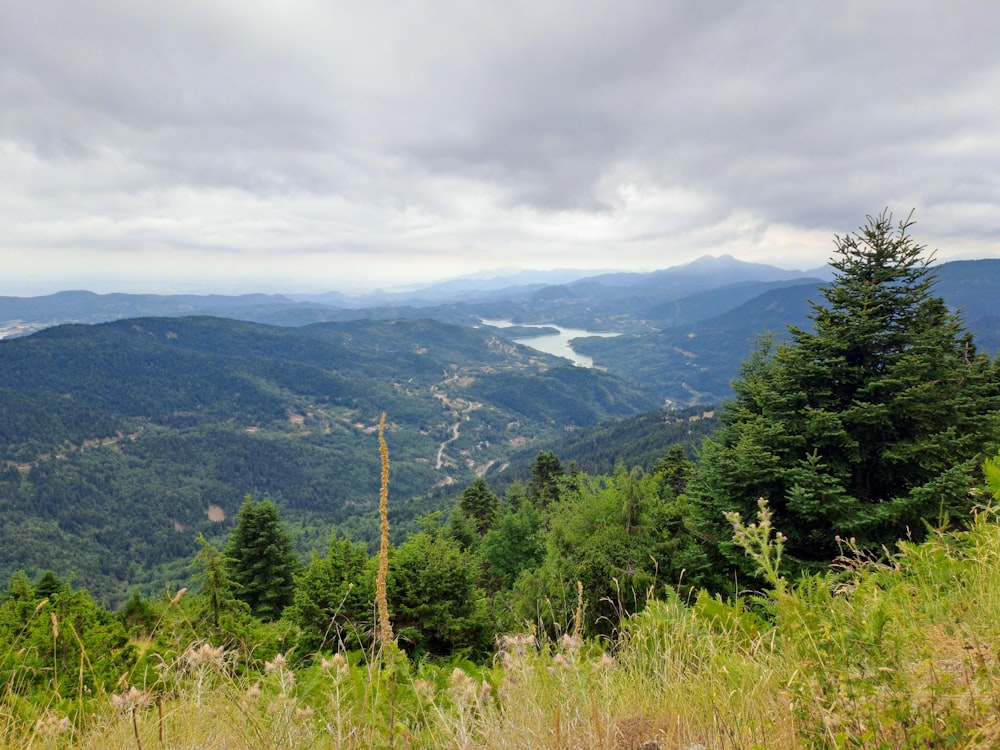 a scenic view of a valley and mountains