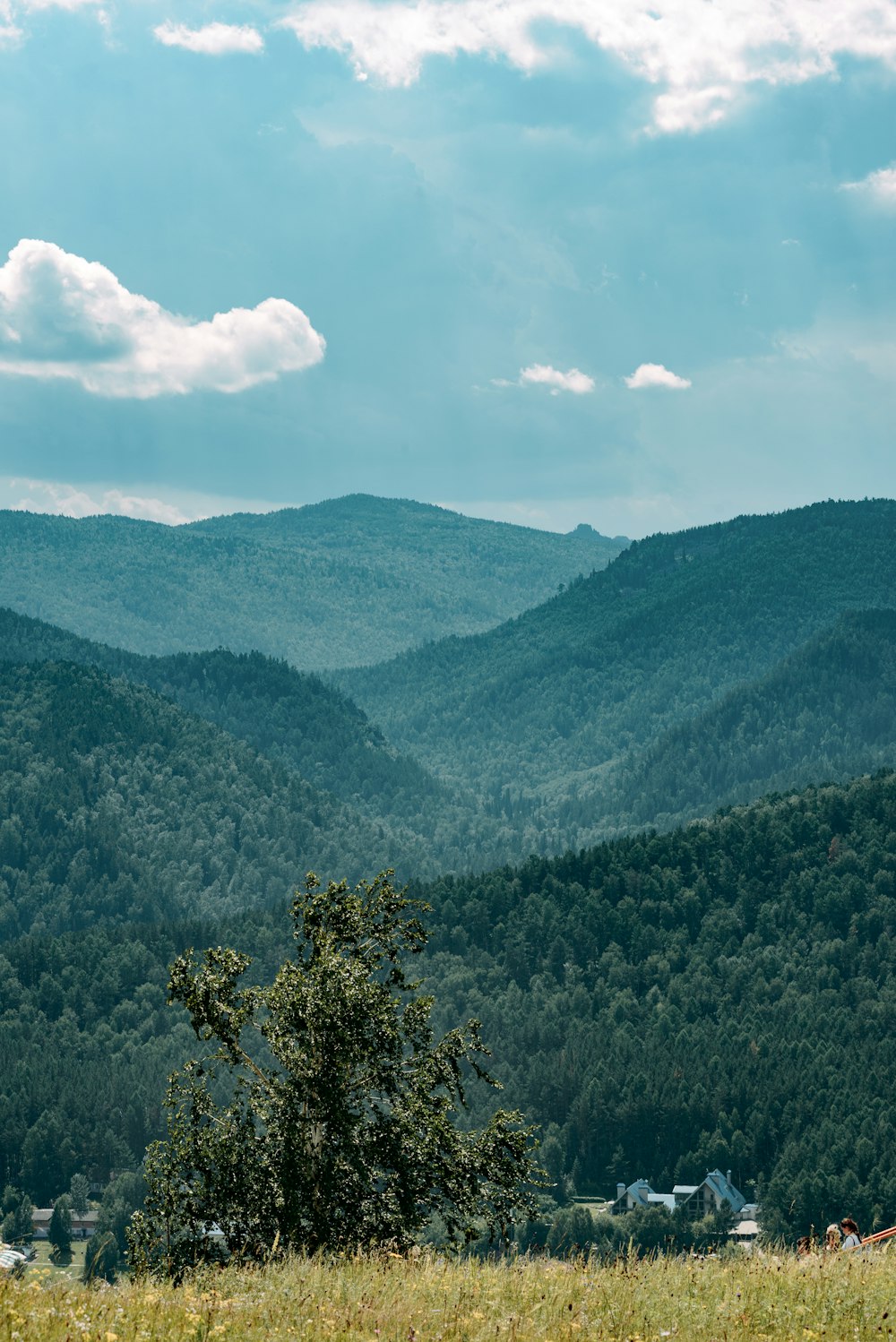 a view of a mountain range from a distance