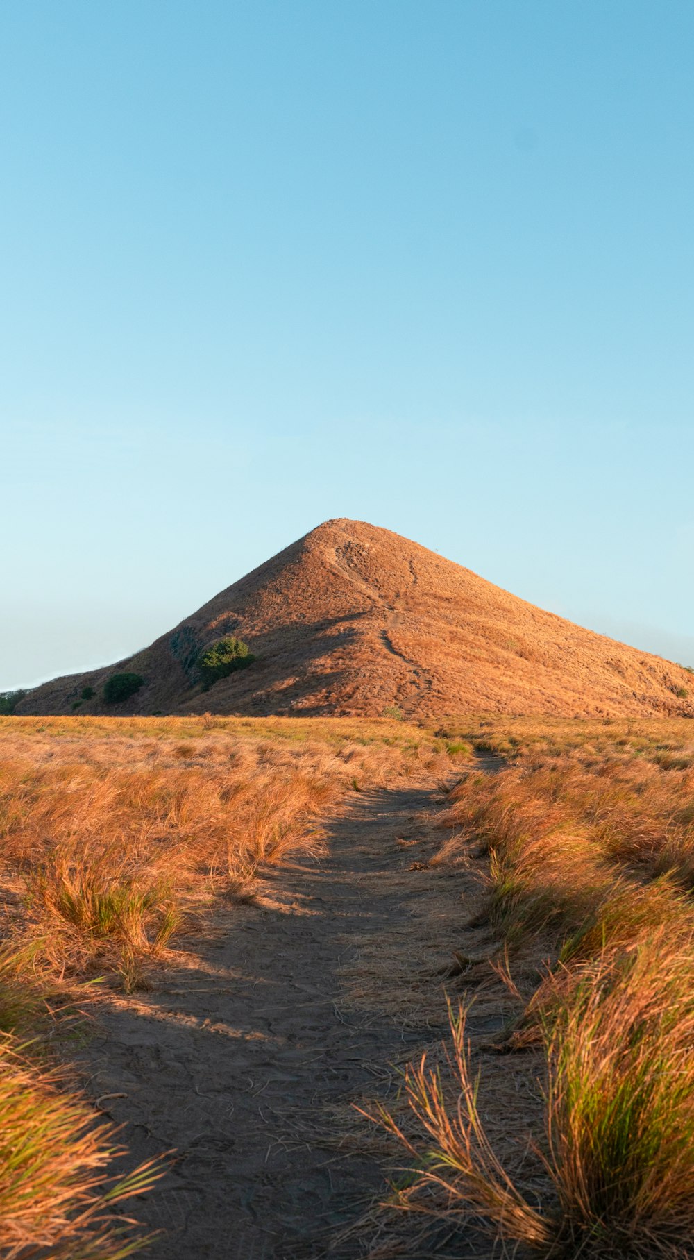 a dirt path leading to a hill in the distance