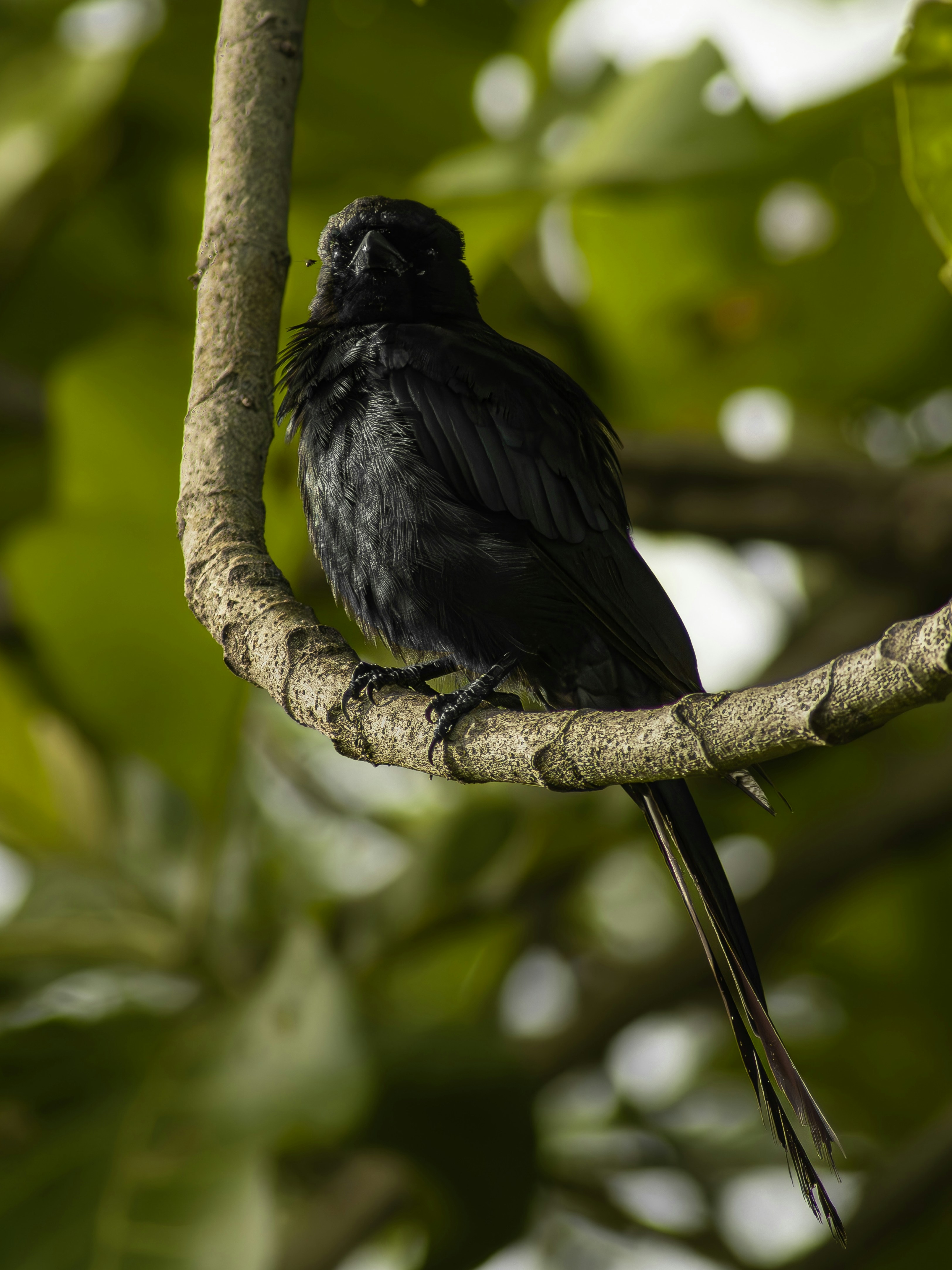 Photo by harshit_suryawanshi