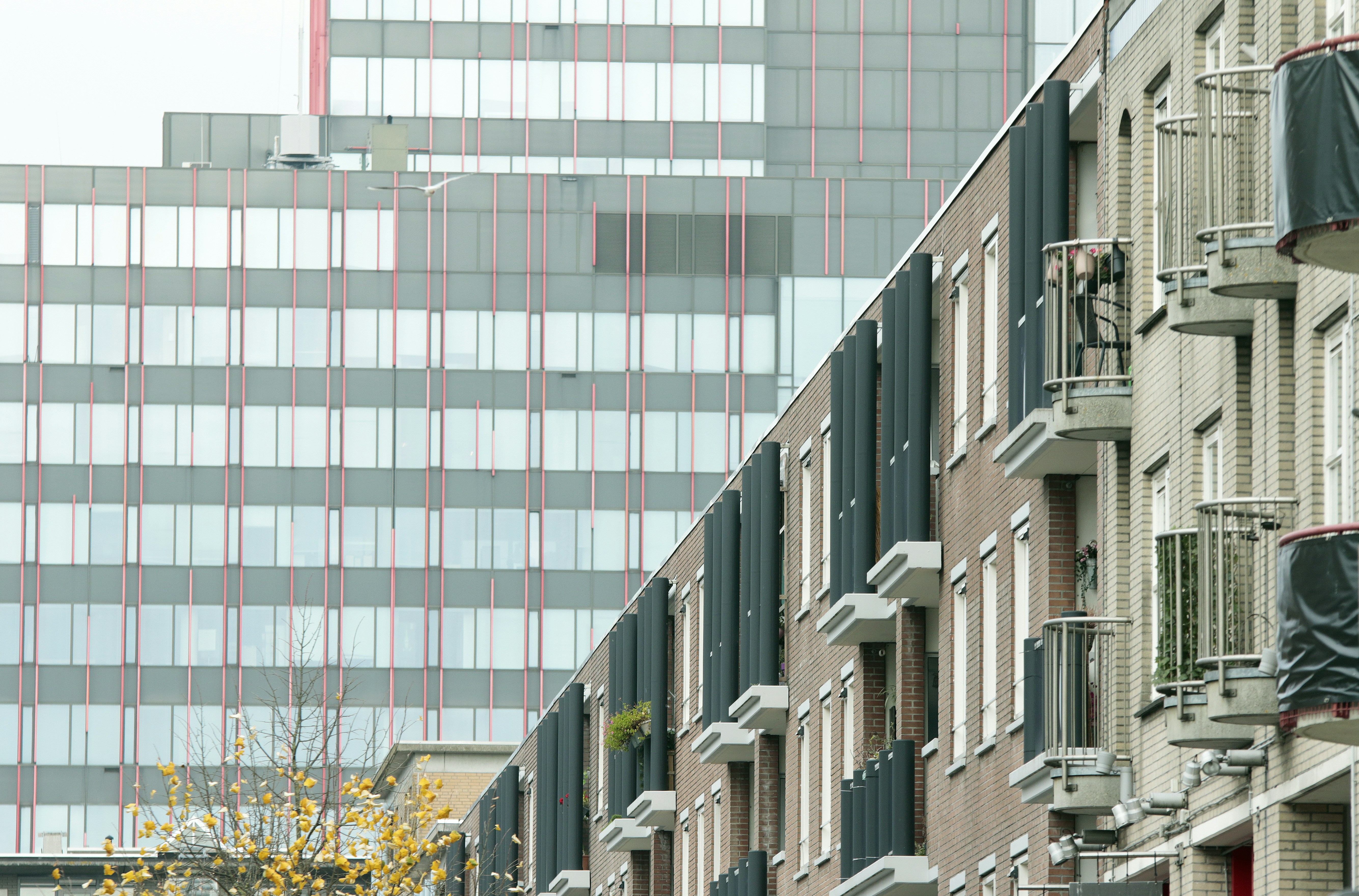 Afbeelding van Almere