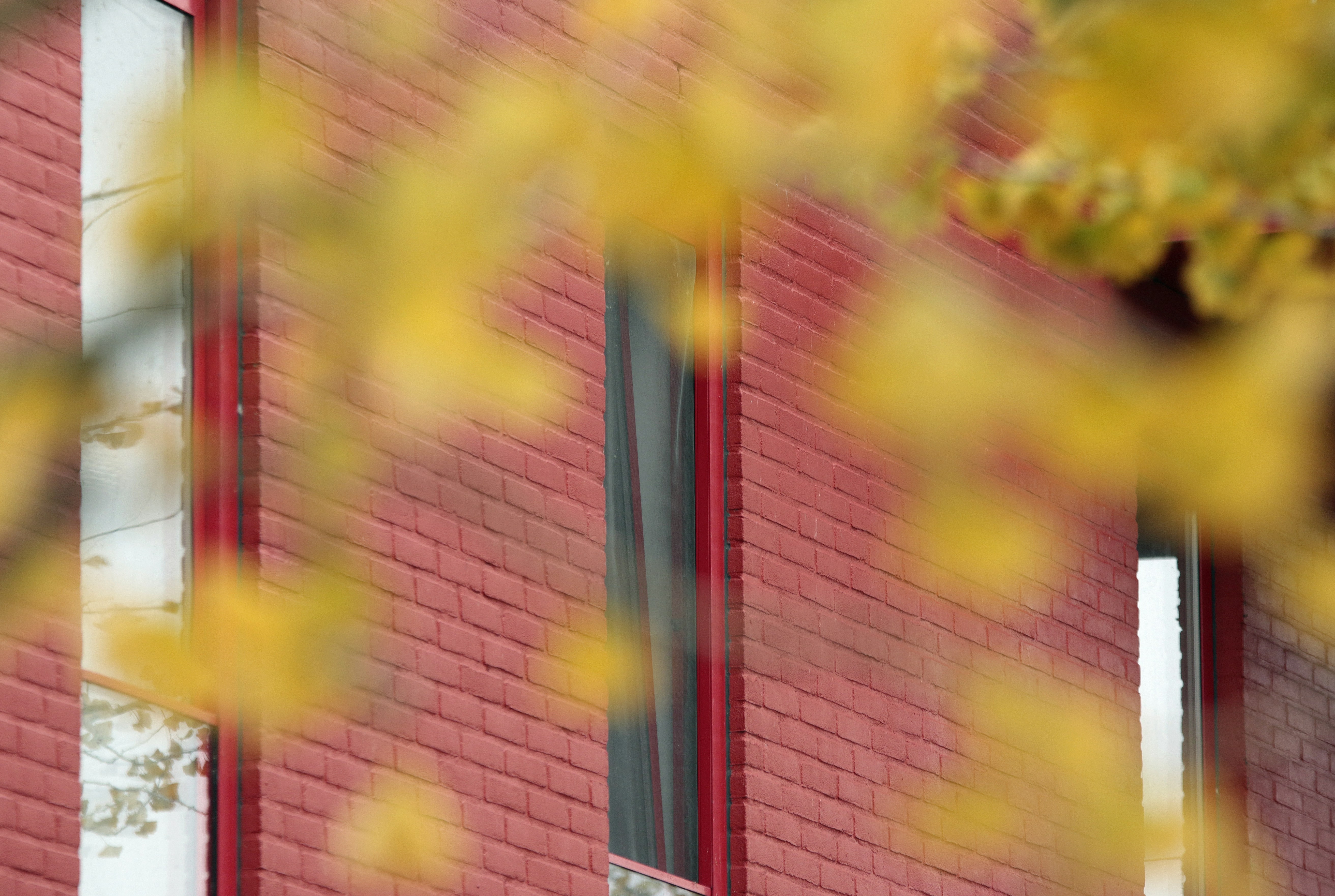 Afbeelding van Almere