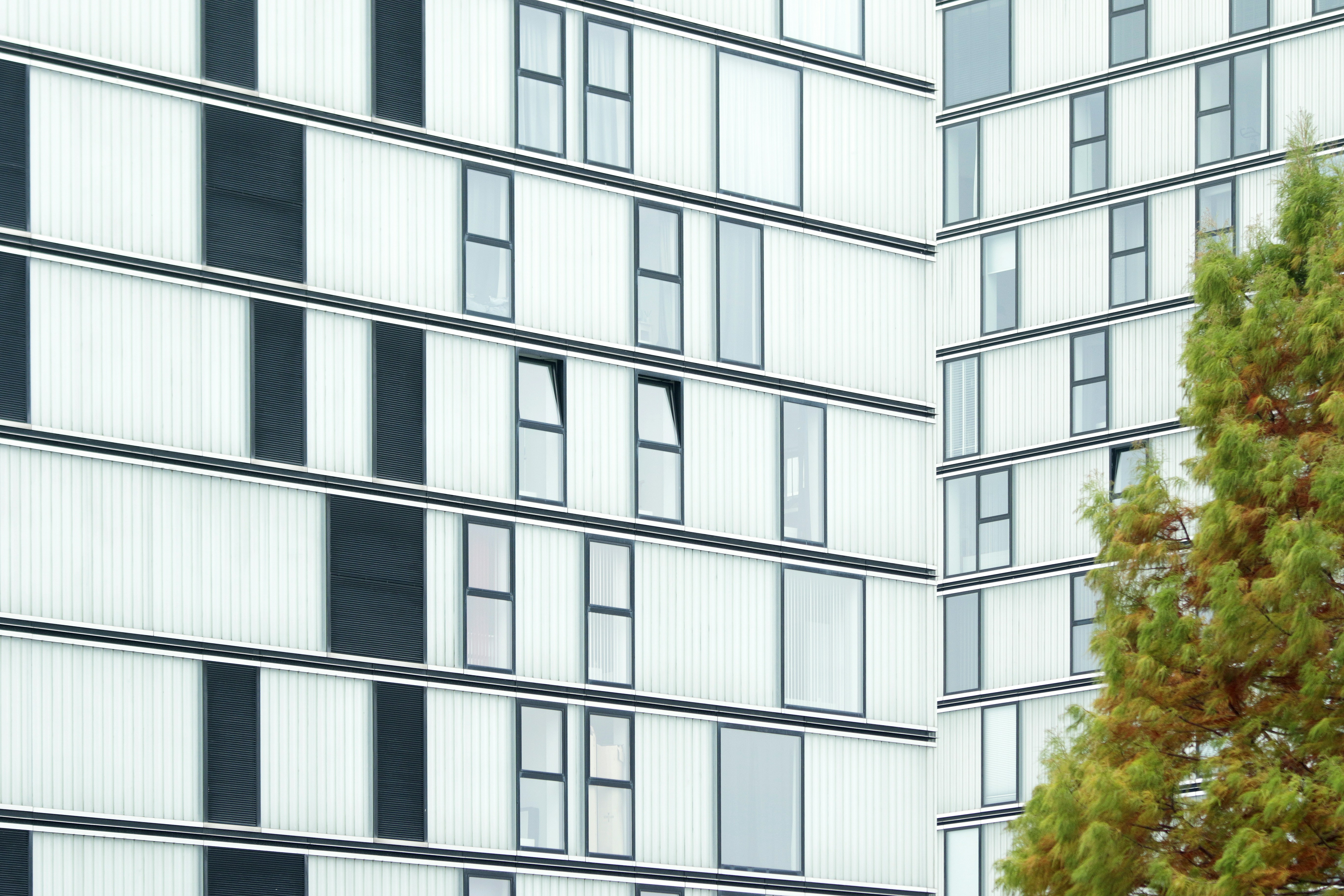 Afbeelding van Almere