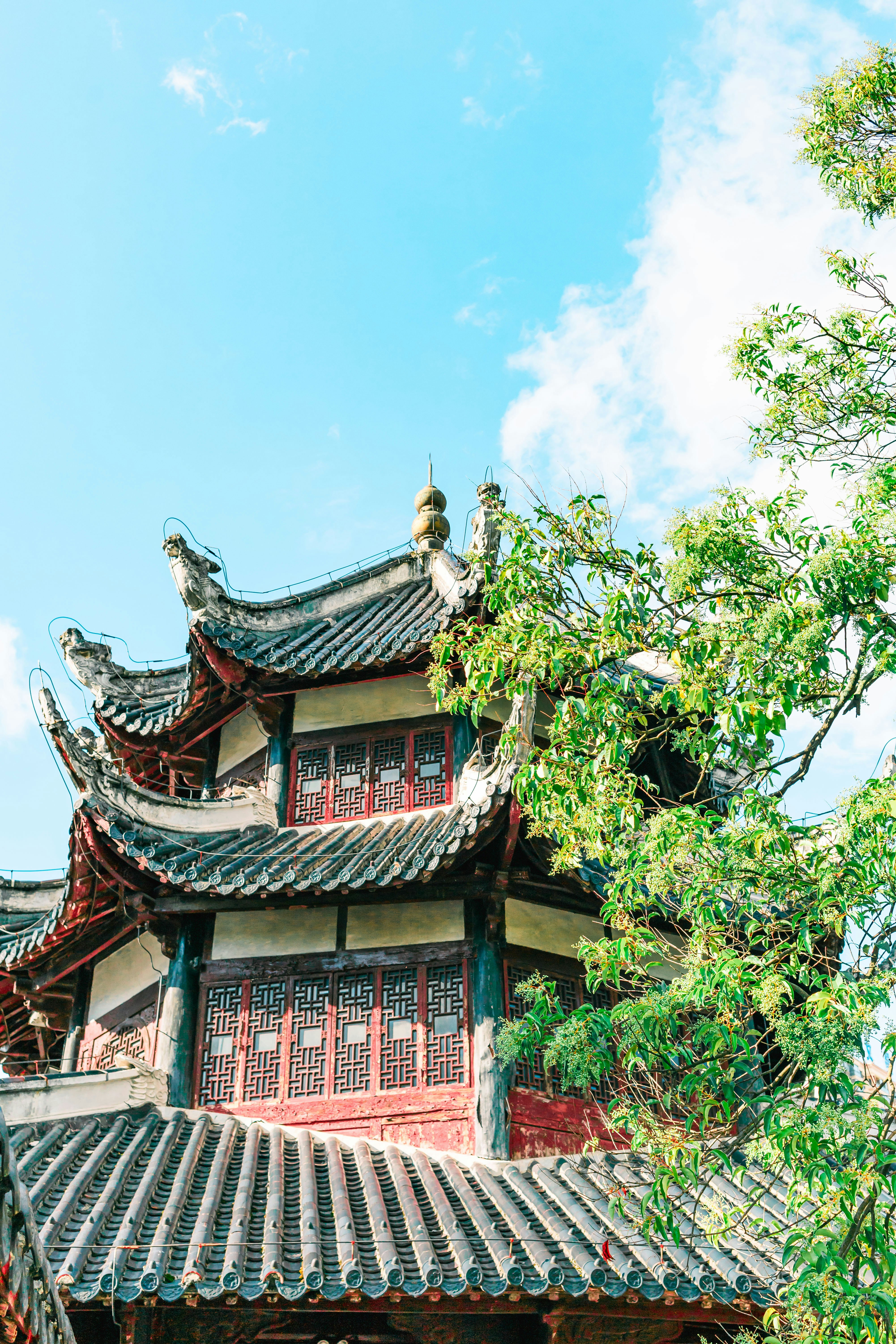 Photo by yokonoito0512