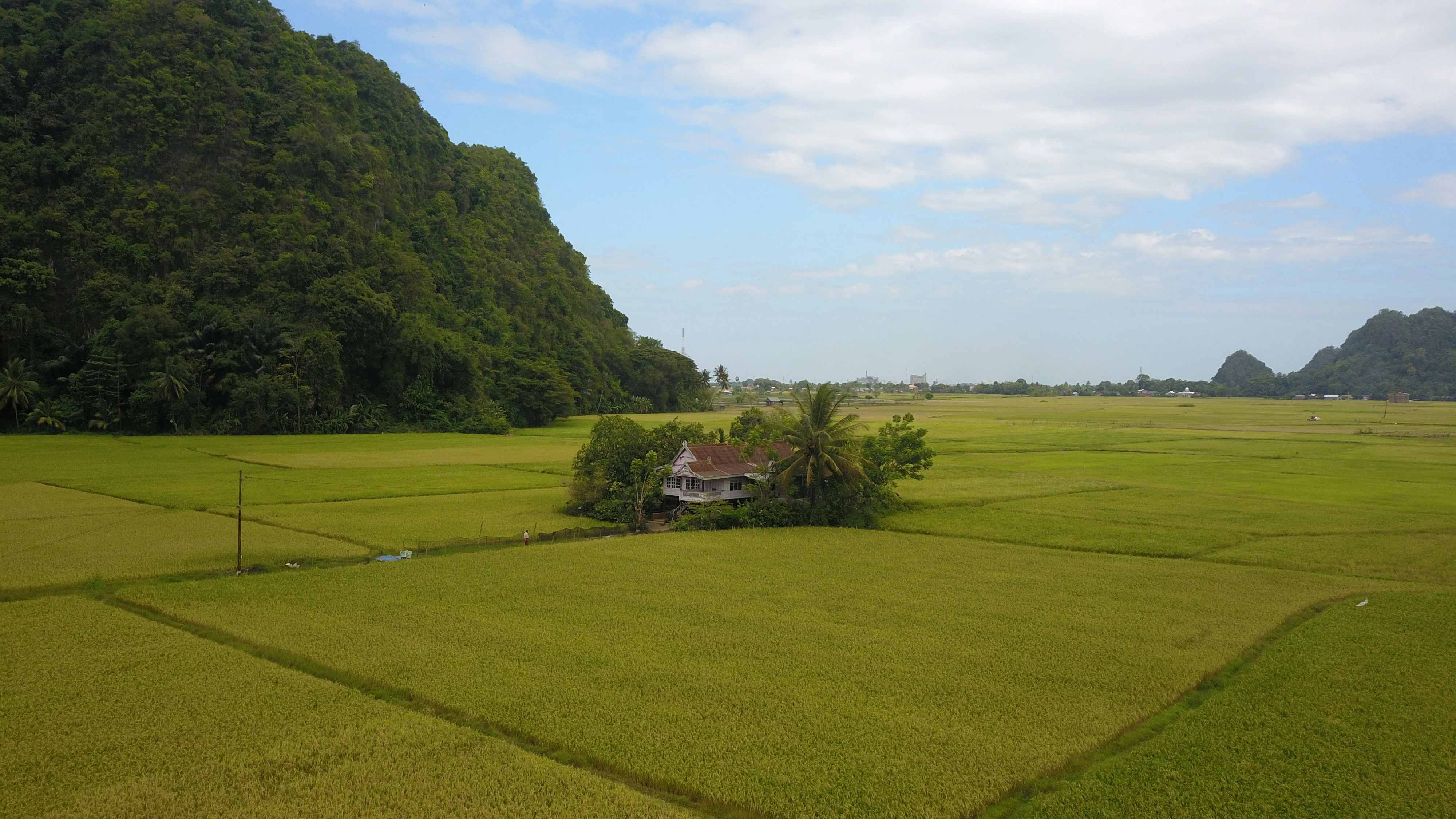 Photo by hasbidocumentary