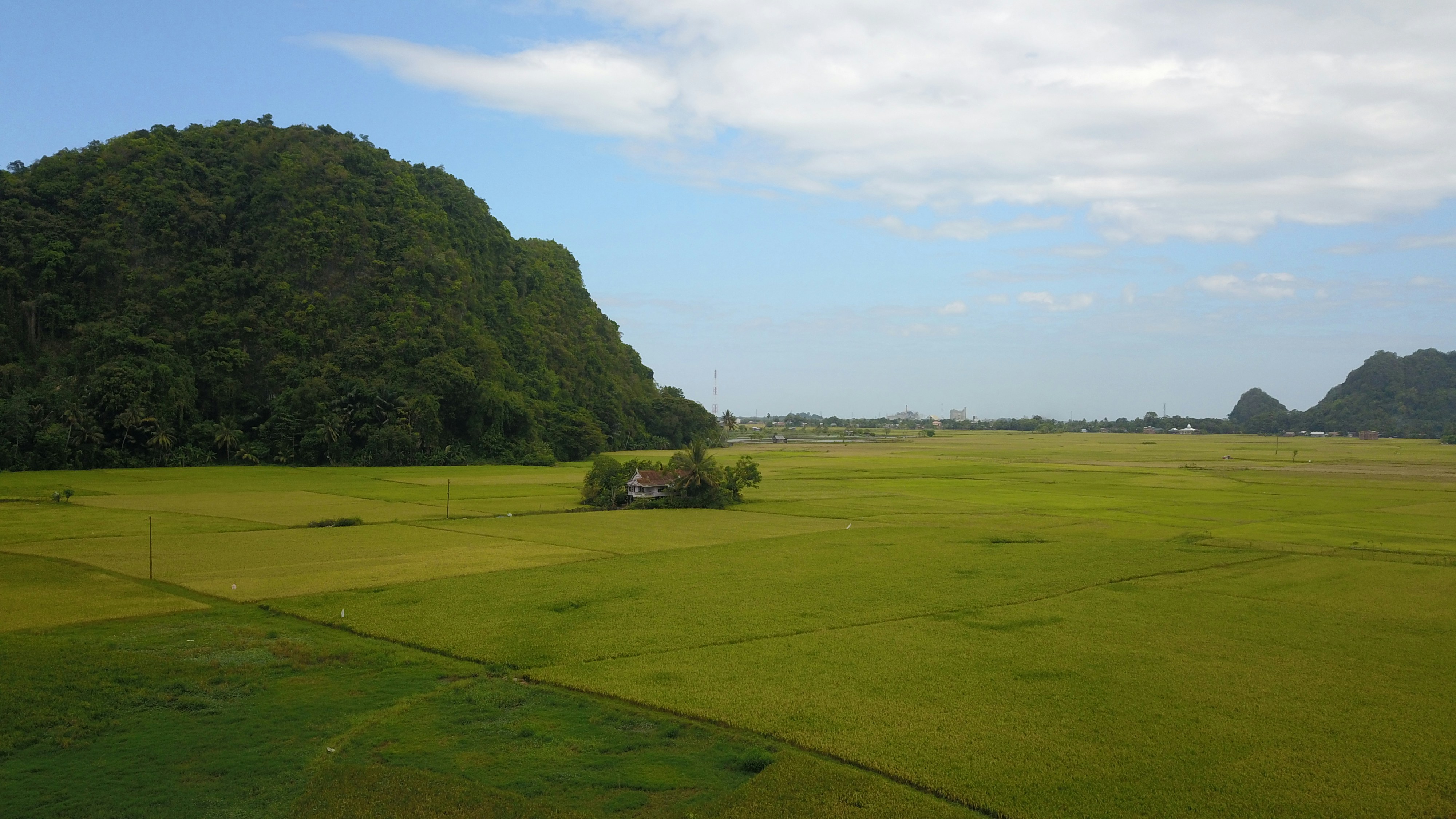 Photo by hasbidocumentary