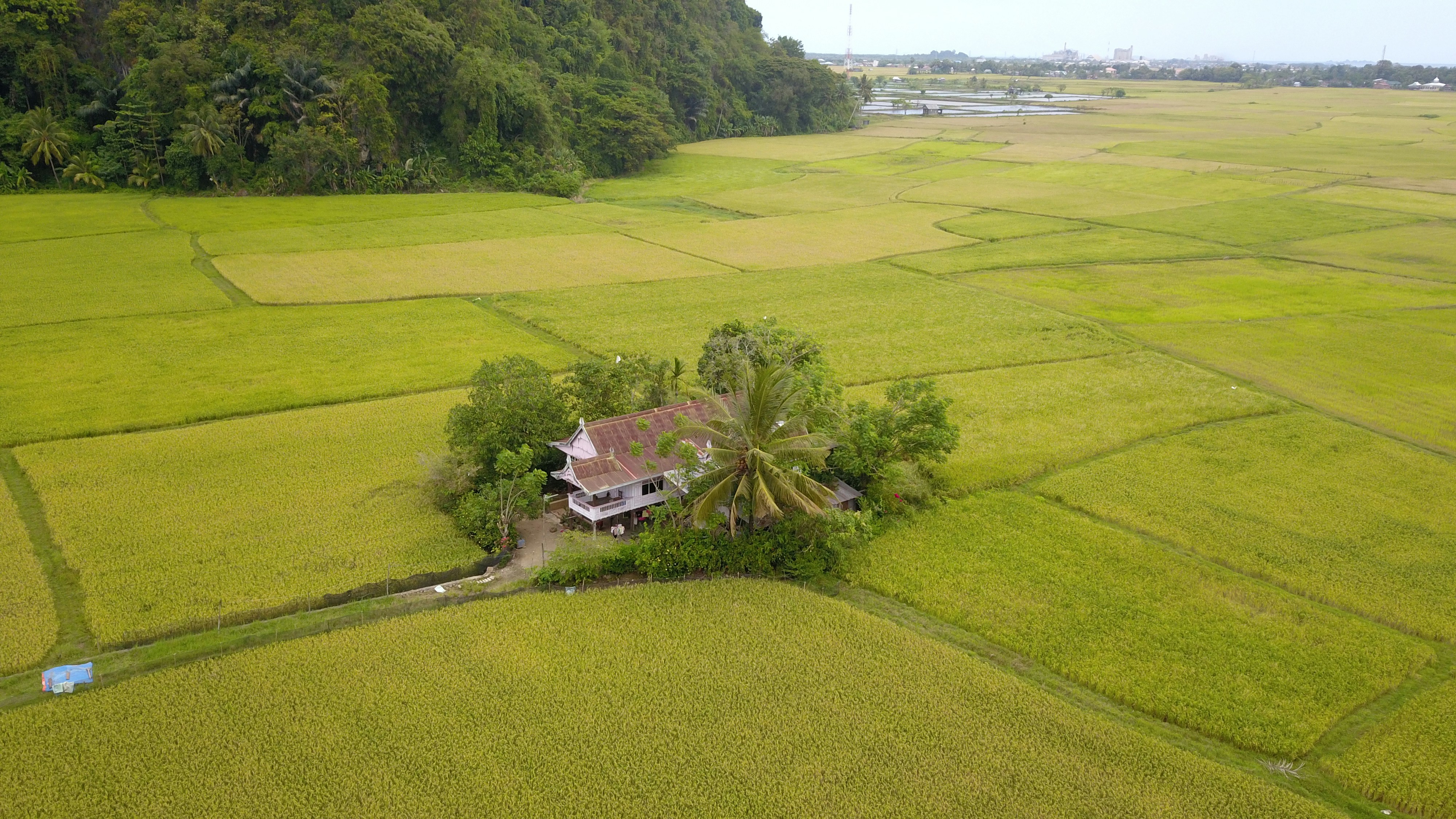 Photo by hasbidocumentary