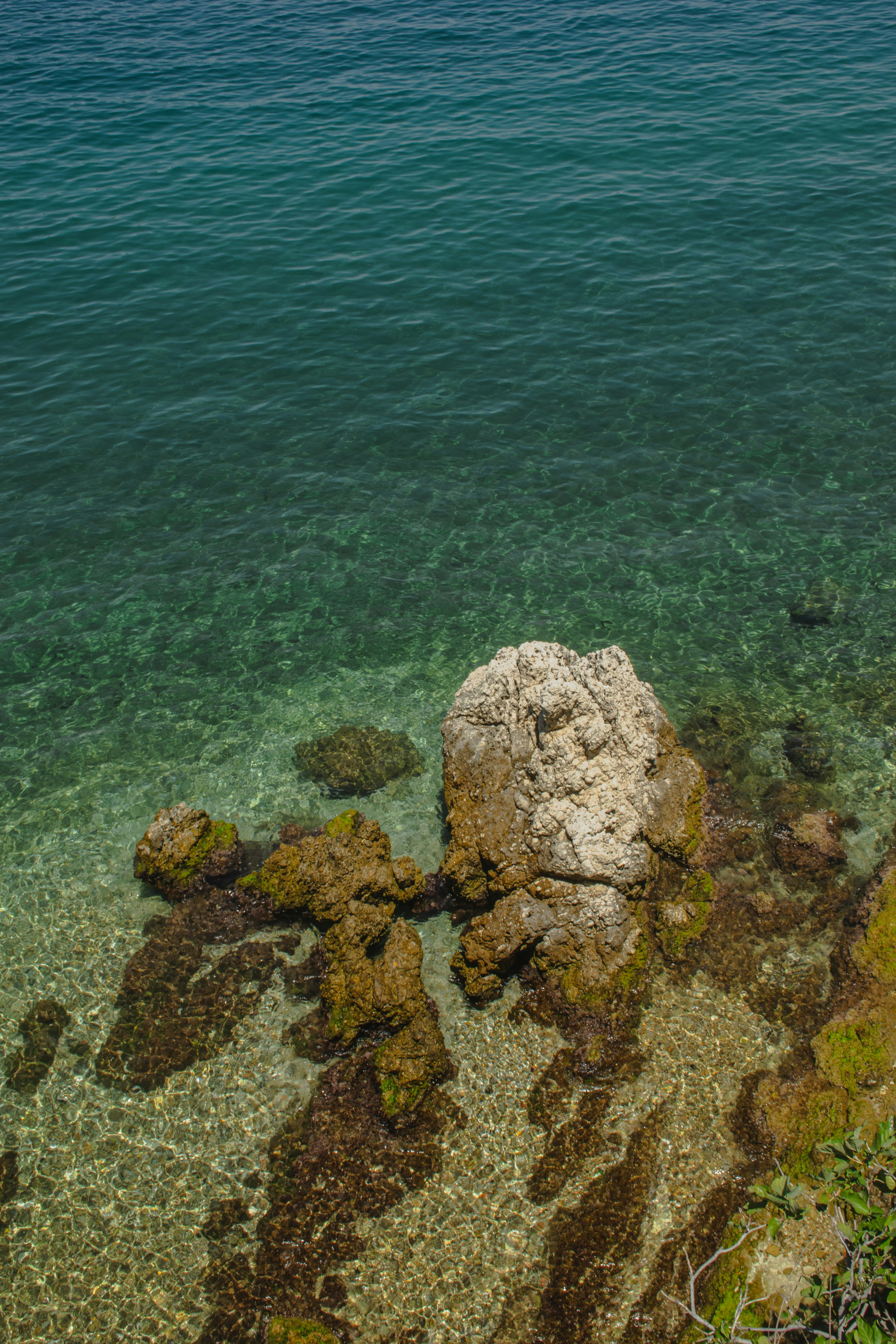 Photo by wheresalina