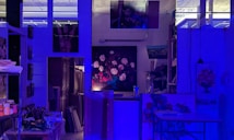 An art studio illuminated by blue lighting, creating a moody atmosphere. There are several paintings displayed on the walls, including a central one depicting a bouquet of flowers. Art supplies, such as brushes and paints, are organized on shelves and a table.