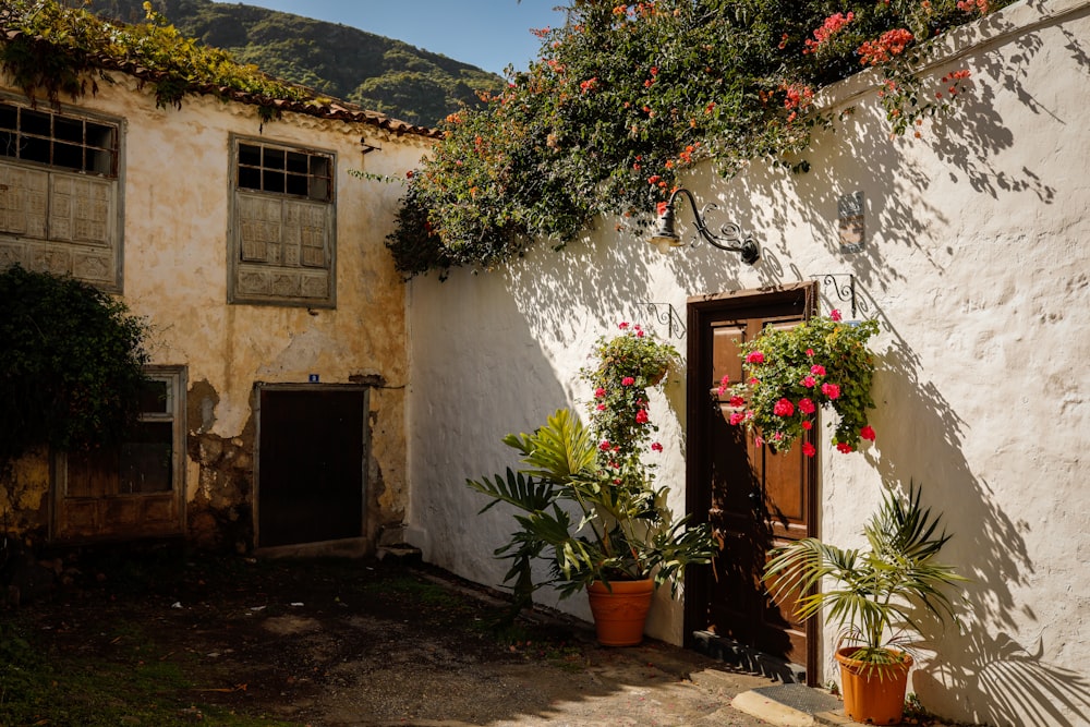 a white building with potted plants on the outside of it